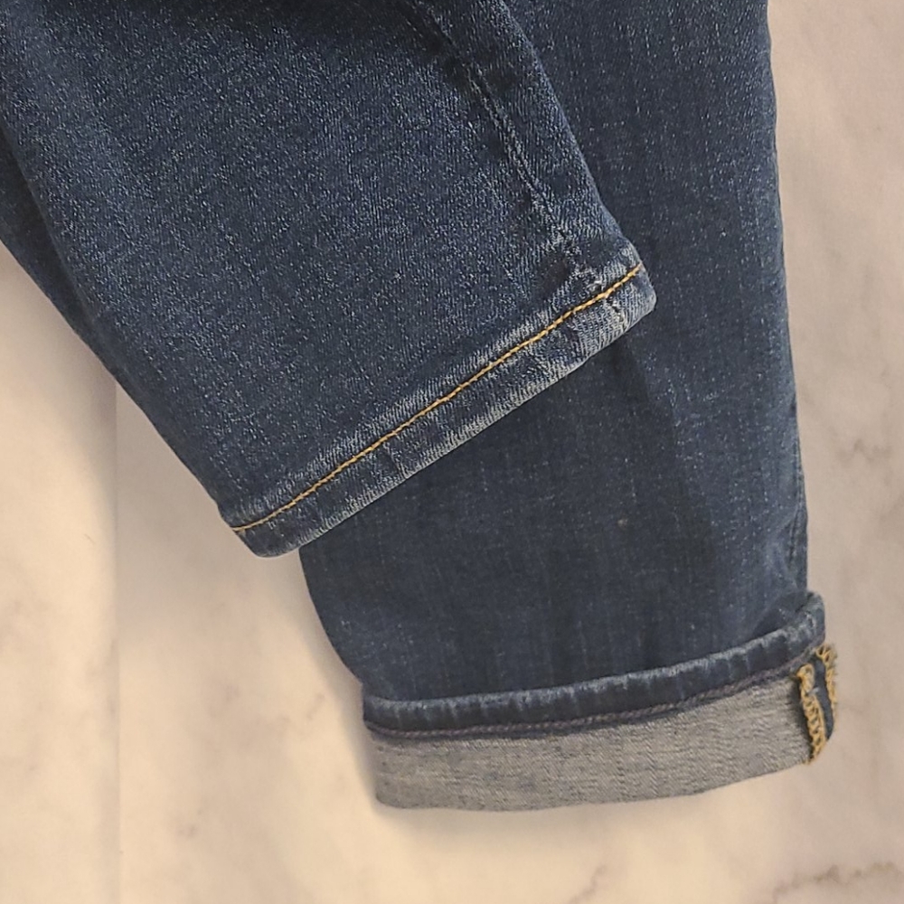 GAP True Skinny High Rise Jeans